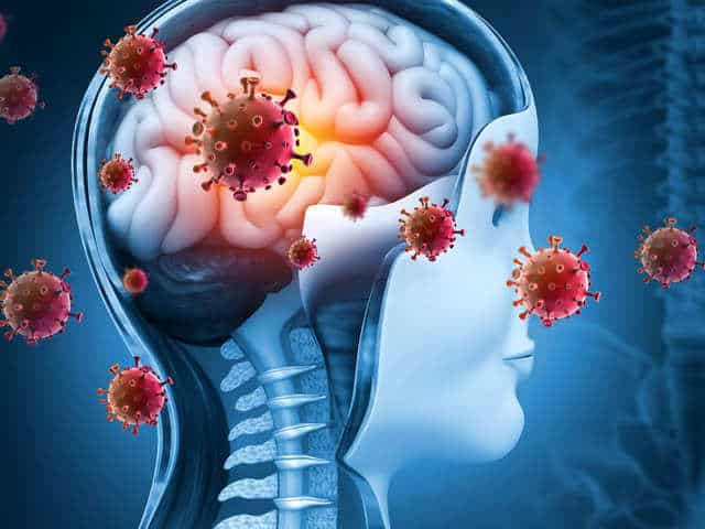 Brain Health and Cognitive Functions